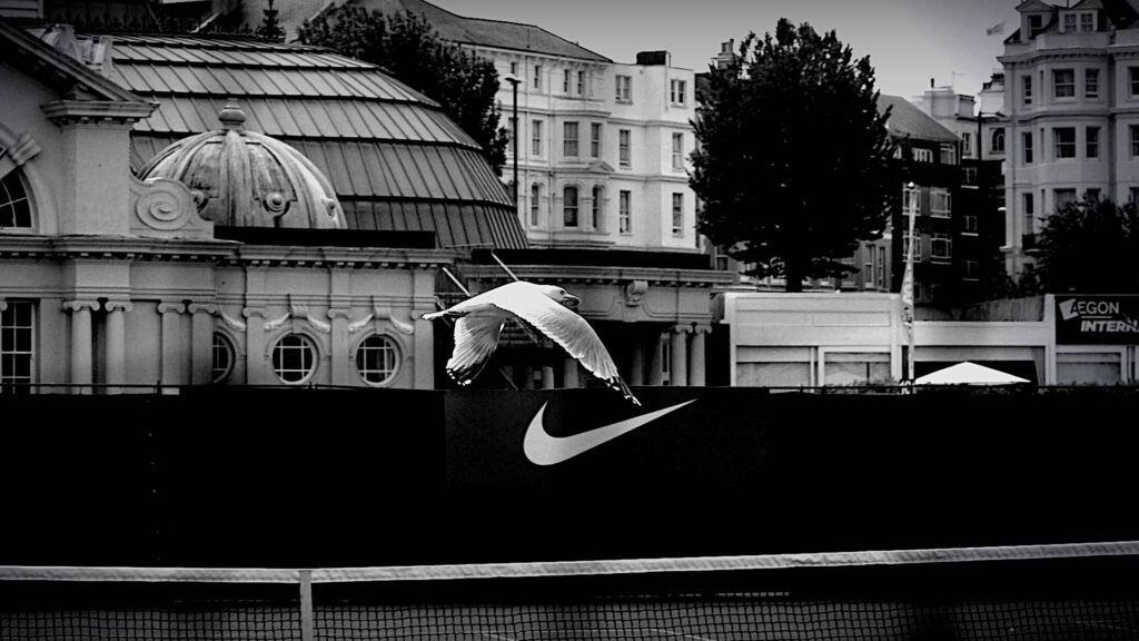 A snapshot from Eastbourne 2016.